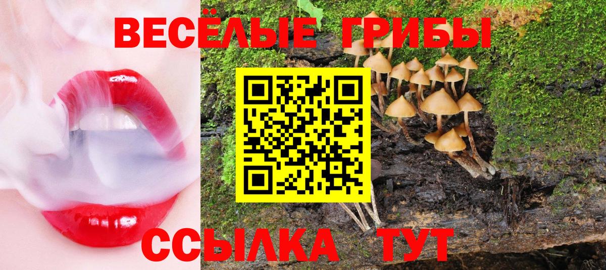 Псилоцибиновые грибы MAGIC MUSHROOMS Соликамск